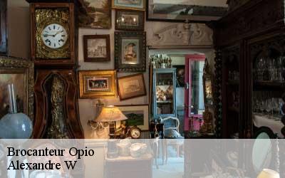 Brocanteur  06650
