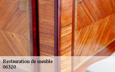 Restauration de meuble  06320