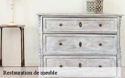 Restauration de meuble  06210